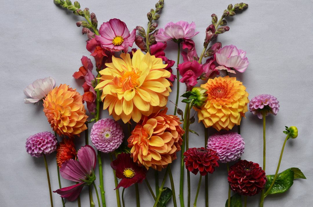 محصولات گل برای گل