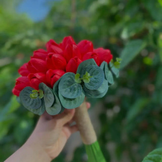 دسته گل لاله قرمز گل برای گل مناسب فرمالیته و حنابندون